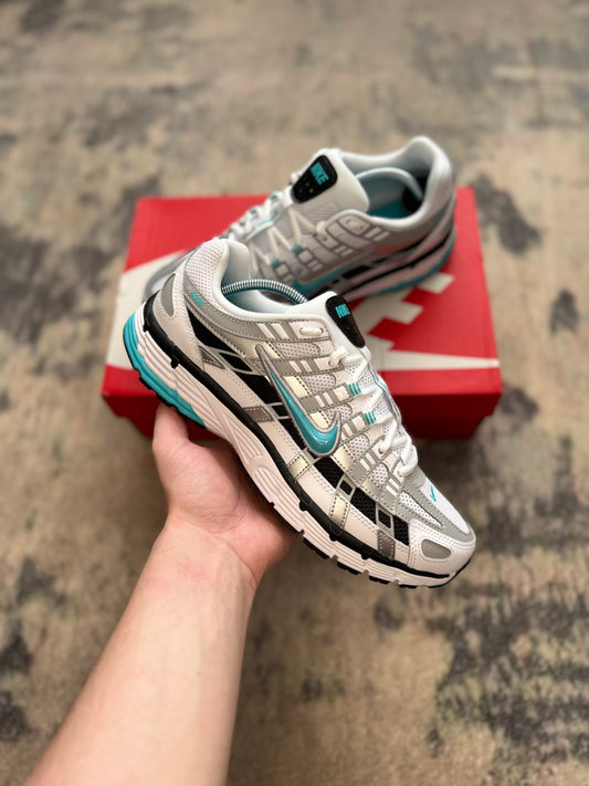 Nike P-6000 Dusty Cactus